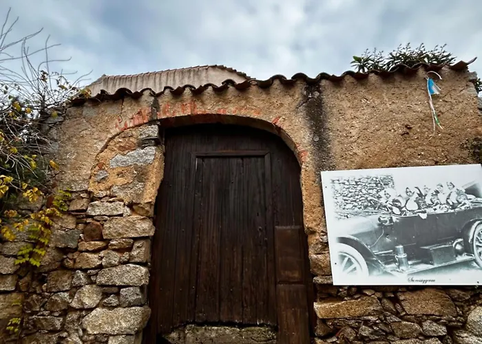 Domo Mamatzia 3* Atzara